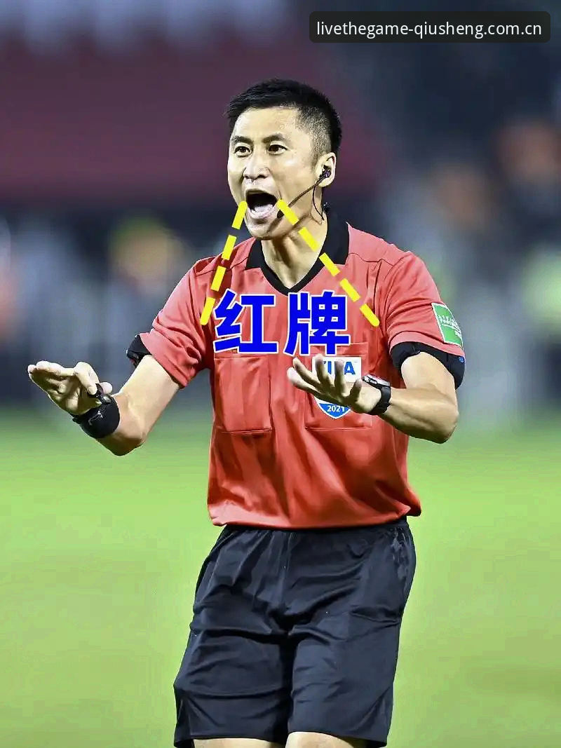马宁世界杯裁判路：球圣体育v3.2用户分享避坑心得